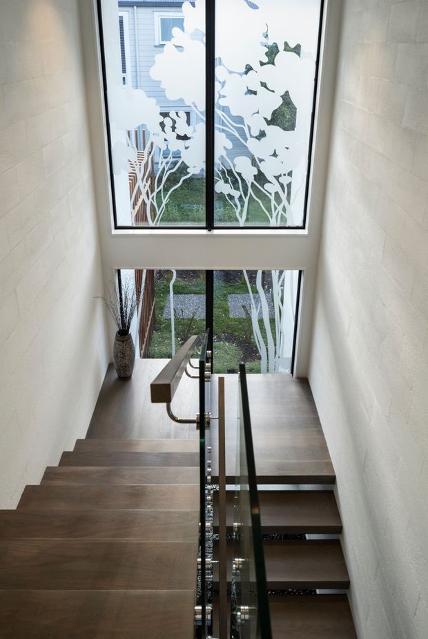 Interior view looking down a modern stairway with dark timber treads, a clear glass balustrade, and a simple timber handrail. White textured masonry walls frame tall windows decorated with a white botanical silhouette film, bringing in views of a landscaped exterior. The stairwell is bright and vertically spacious, with a clean contemporary feel.