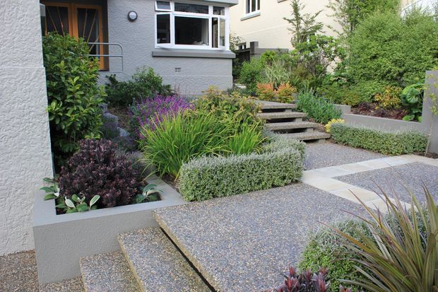 A landscaped front courtyard and entry garden with textured rendered walls, stepped pebble-finished paving, raised concrete planter beds, low clipped hedges, ornamental grasses, shrubs and purple flowering plants. Concrete steps lead toward a timber-framed entry door and windows of a contemporary residential building.