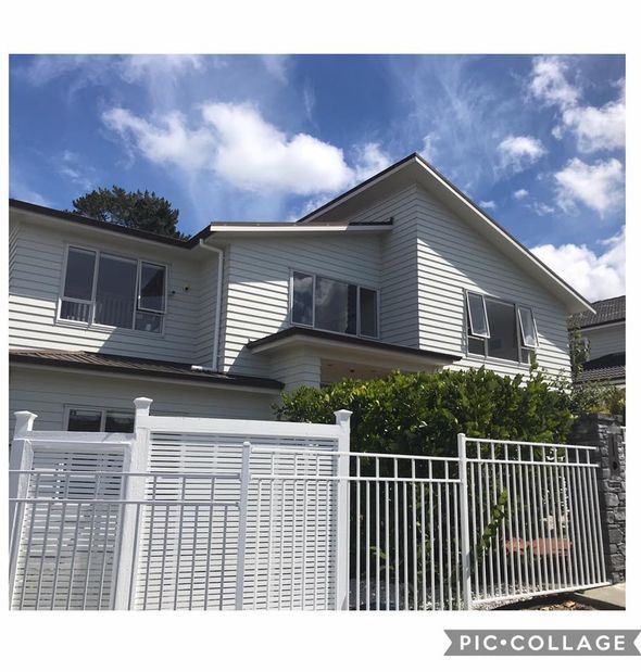 Asset Property Services