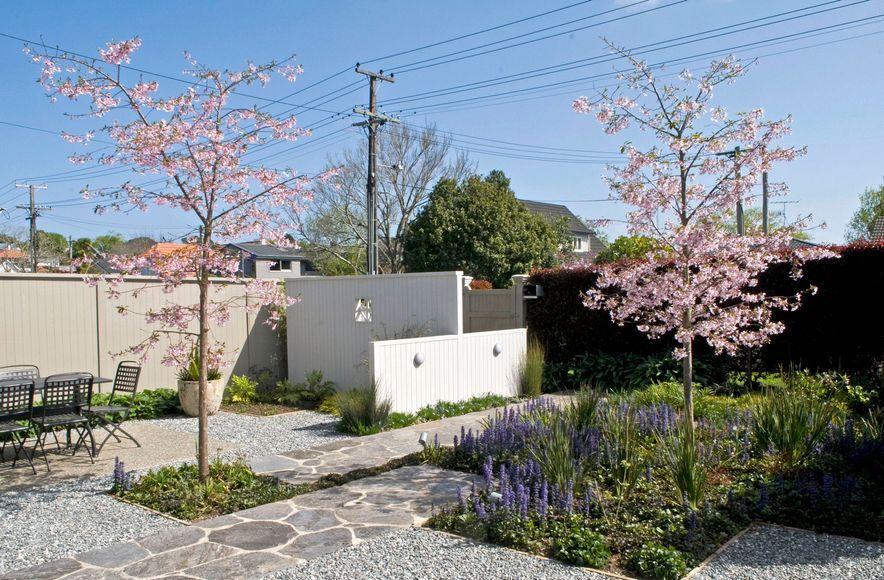 Auckland Courtyard Garden