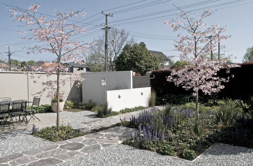 Auckland Courtyard Garden