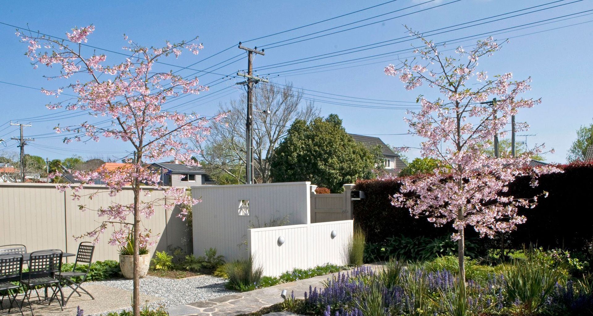 Auckland Courtyard Garden banner