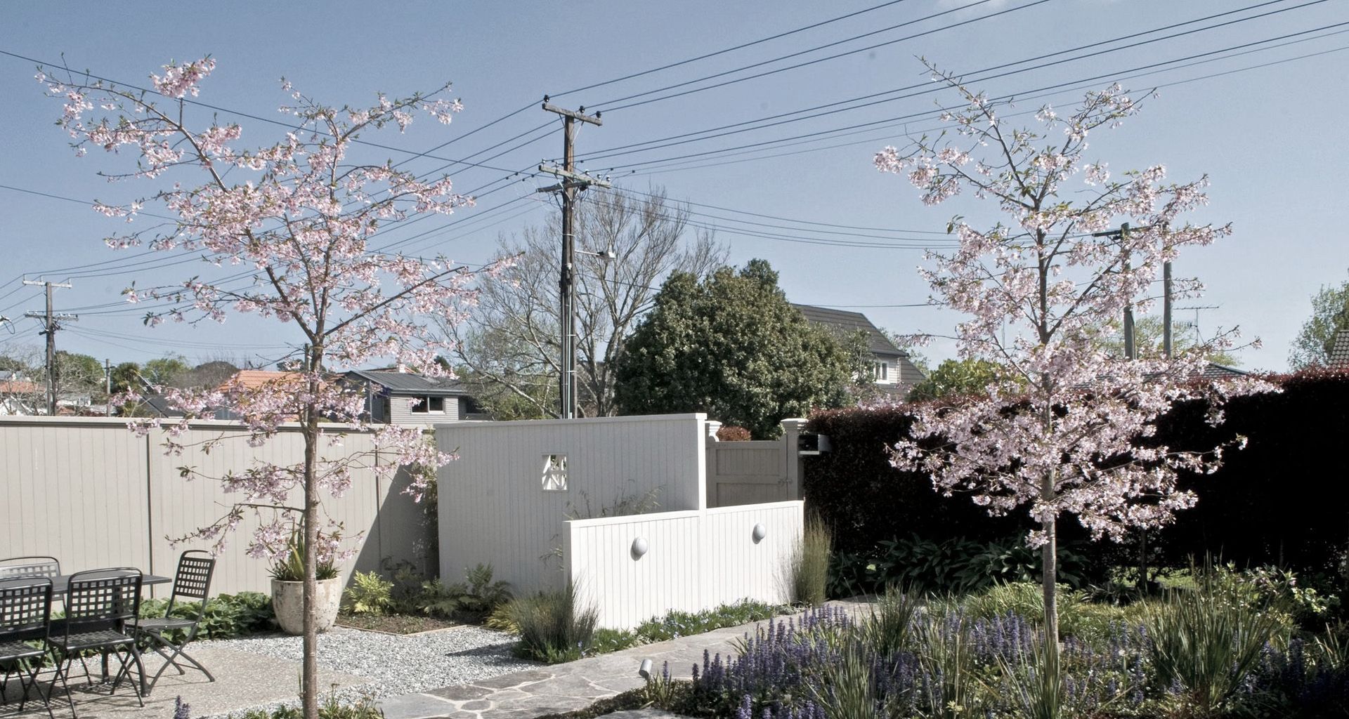 Auckland Courtyard Garden banner