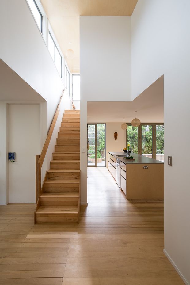 Bright contemporary interior view focused on a timber staircase and open-plan kitchen. The space features pale timber flooring, matching stair treads and handrail, white walls, a warm timber ceiling panel, expansive upper-level glazing, and a streamlined island kitchen with pendant lights. The stair hall opens toward a leafy outdoor garden through full-height glazing and doors.