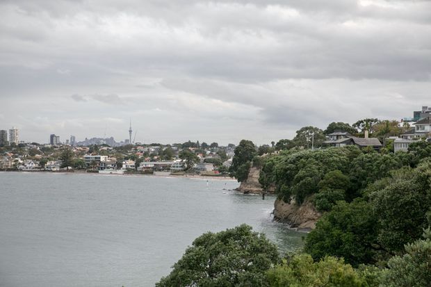 A wide coastal urban landscape viewed across calm water toward a densely settled shoreline. The foreground shows a heavily vegetated, steep waterfront cliff with houses above it, while a distant city skyline and tower are visible beneath an overcast sky.