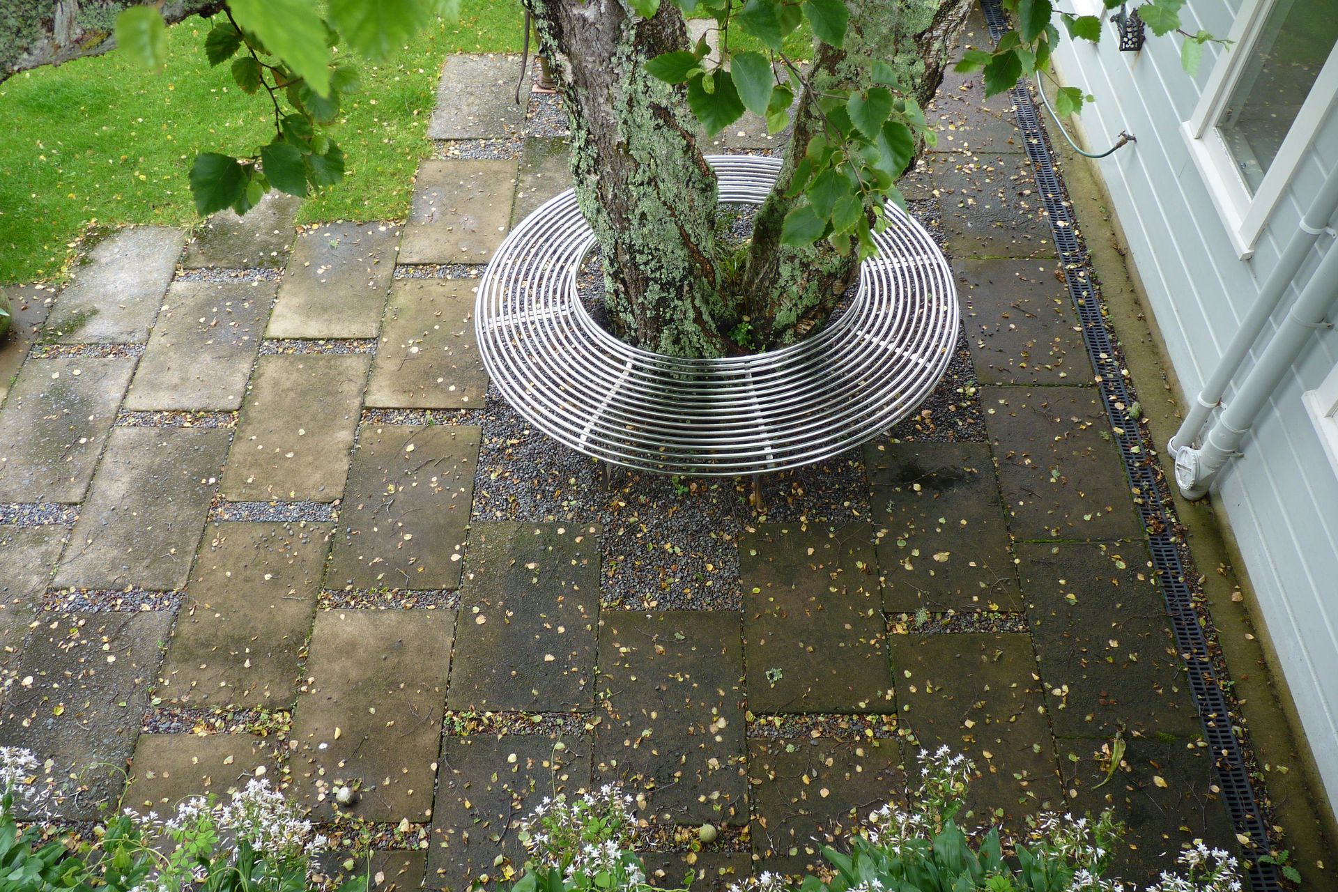 We relaid the existing concrete pavers in a new pattern around the base of the tree, to improve drainage and create a hard surface under the new washing line