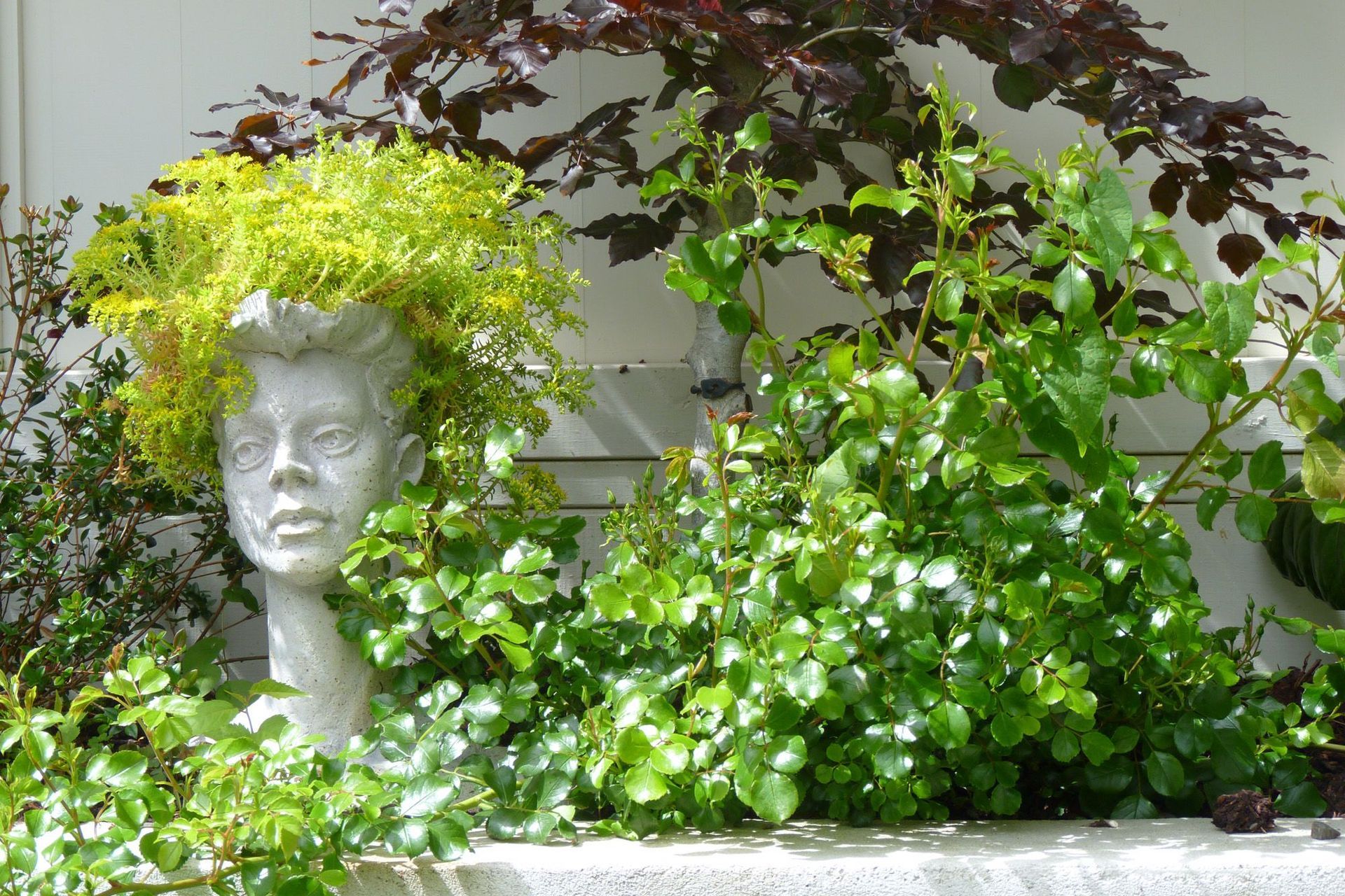 The lady of the garden