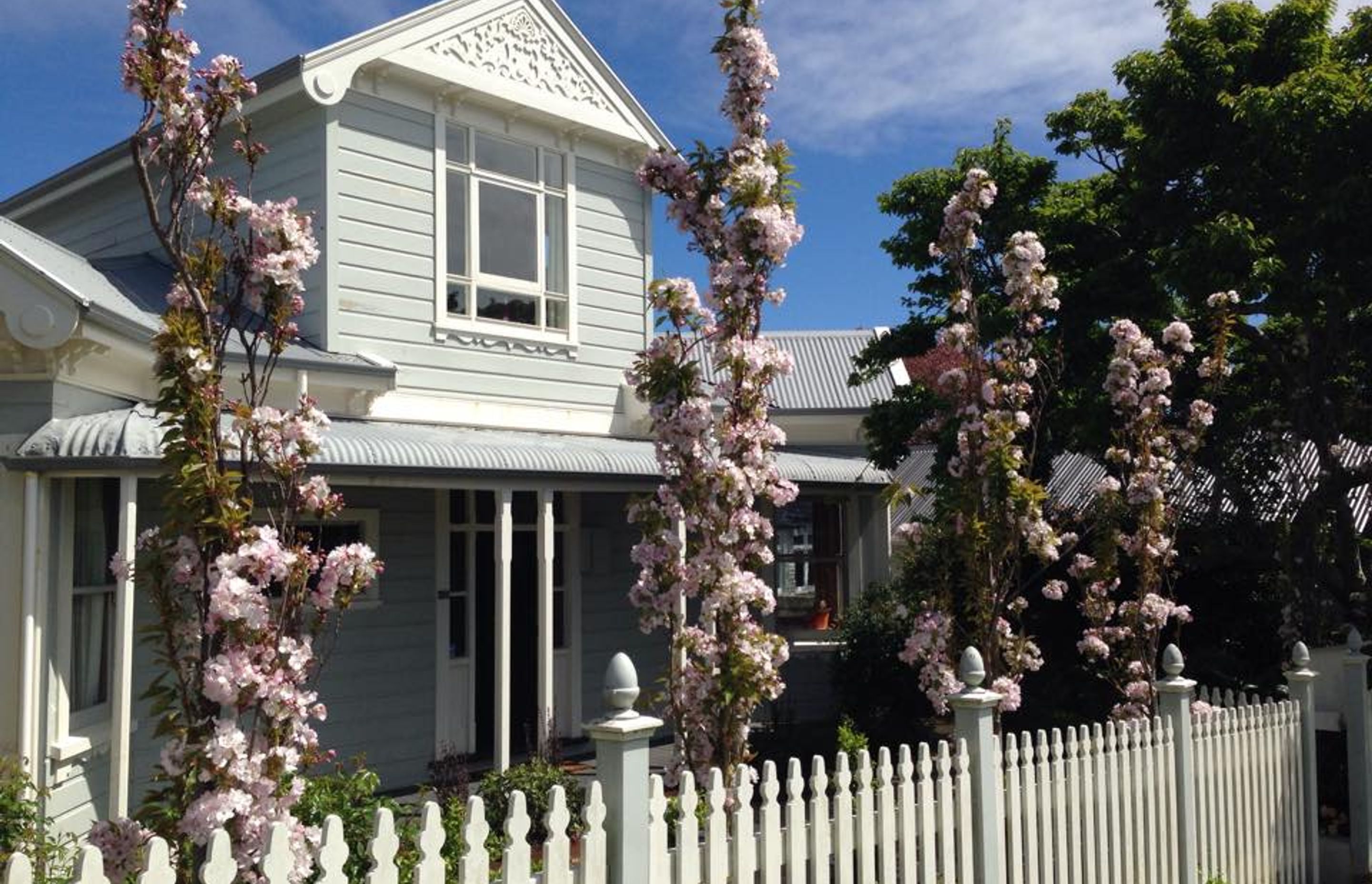 Flowering cherry columns