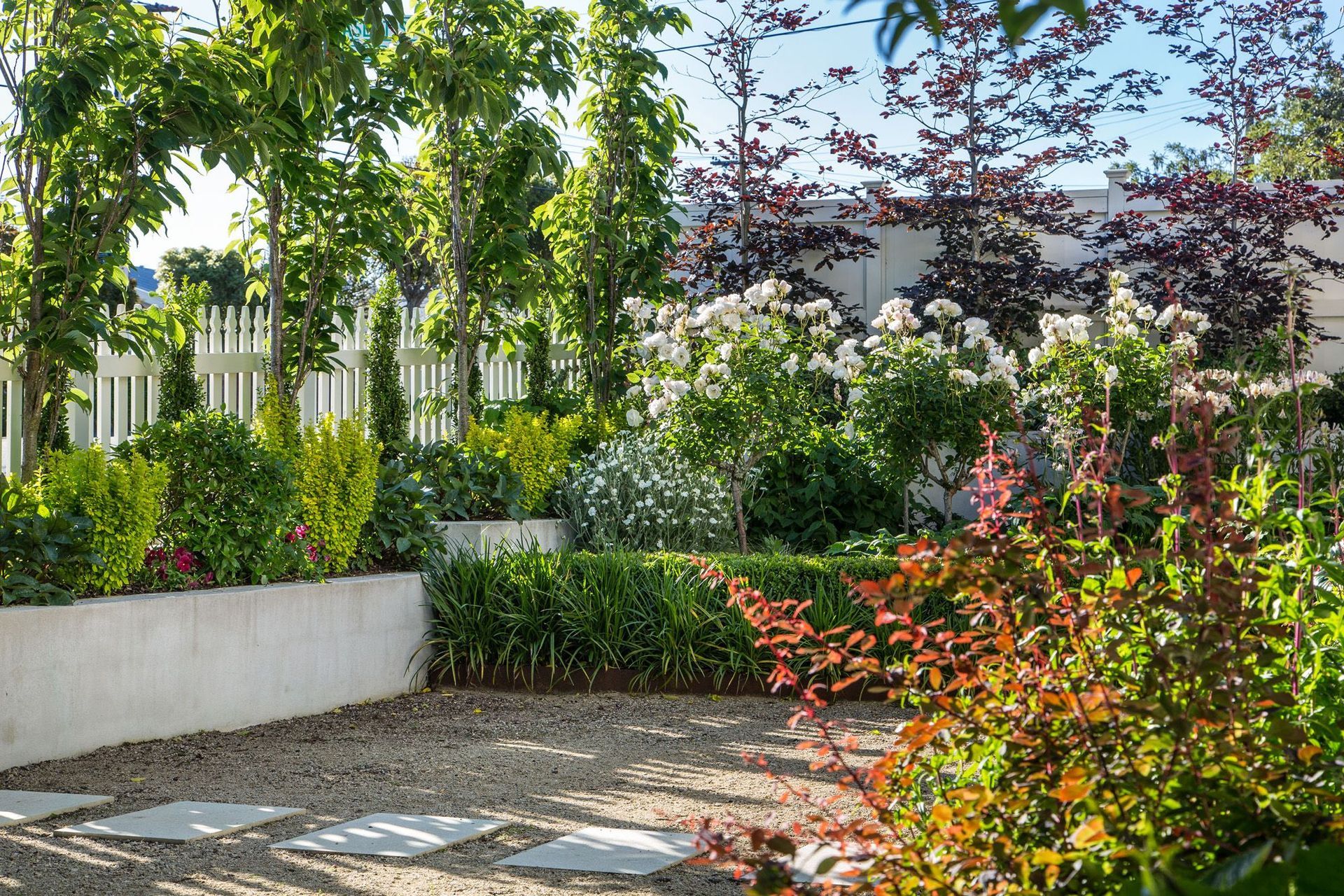 Lots of beautiful foliage colours & light