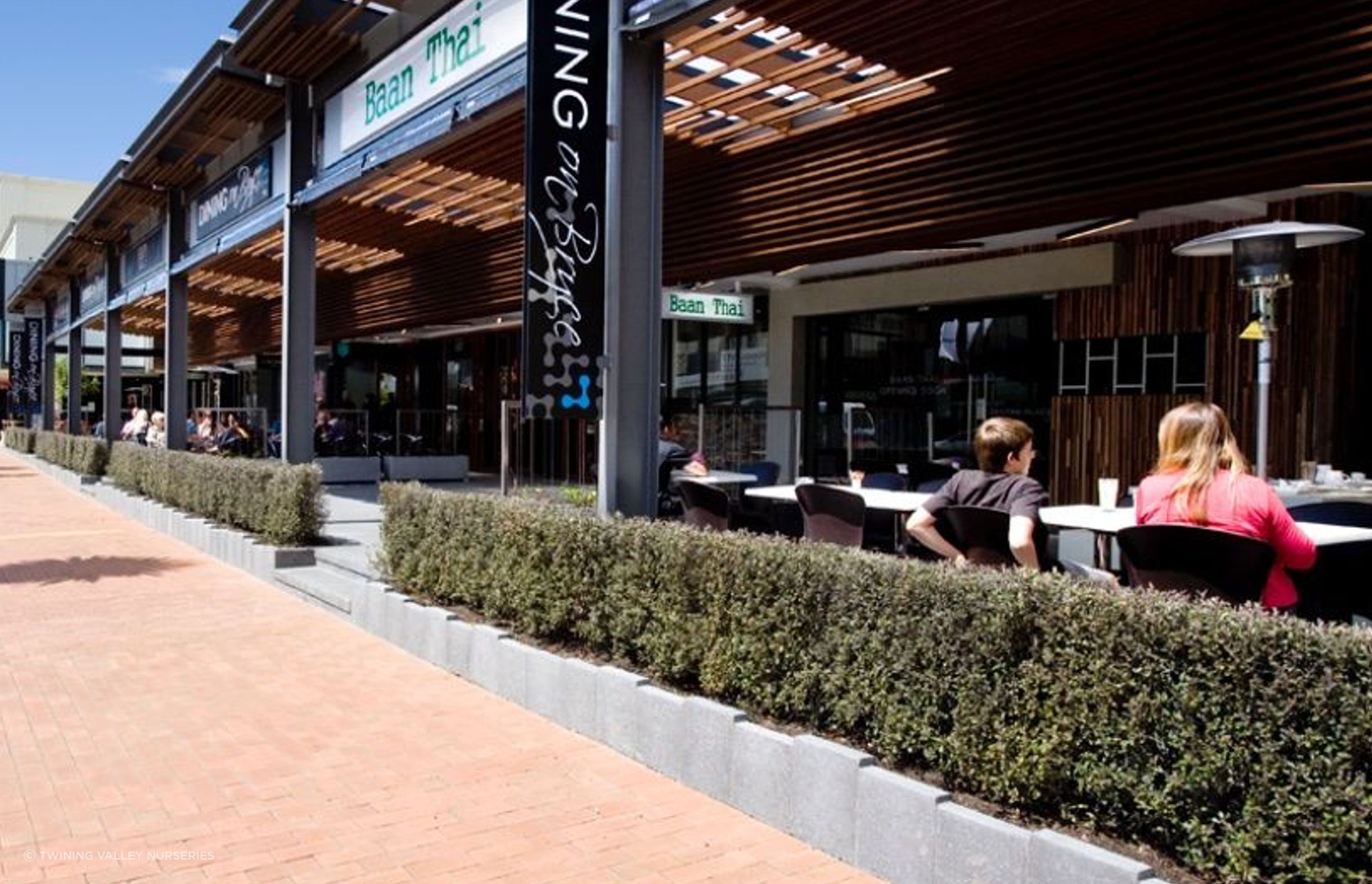 Living Boundary instant hedges define the outdoor space, but allow views into and out of the al fresco dining areas.
