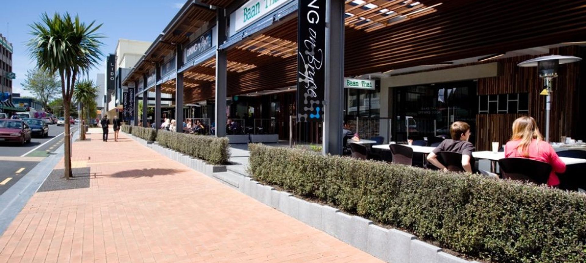 Hedges for Commercial, Civic And Hospitality Projects banner
