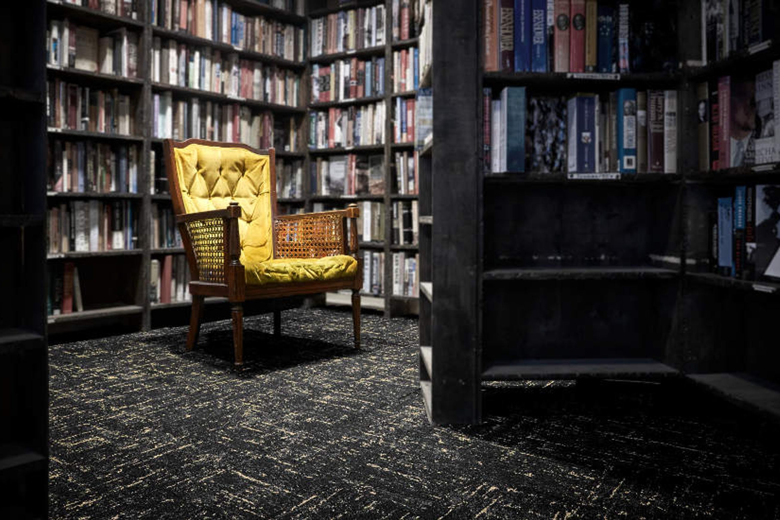 Bentley Mills Carpet