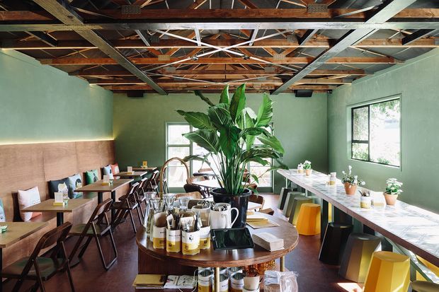 A stylish café or casual commercial dining space with muted green walls, timber flooring, long communal tables, bench seating, black-framed windows, and a prominent indoor tropical plant. The ceiling has exposed timber framing and metal structural bracing, creating an industrial character, while colourful geometric stools and warm timber furniture add a relaxed contemporary feel.