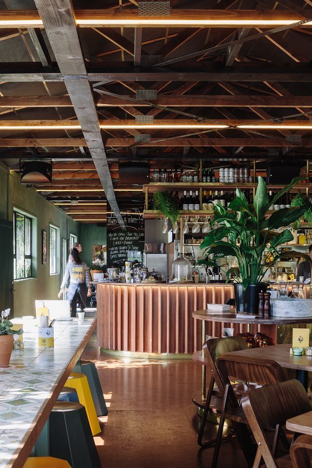 A warmly lit café or restaurant interior with a long ribbed timber bar, open bottle shelving, indoor plants, patterned tile counters, timber tables and chairs, and a dramatic exposed timber roof structure with linear lighting. The space has dark green walls, polished concrete flooring, and a relaxed hospitality atmosphere.