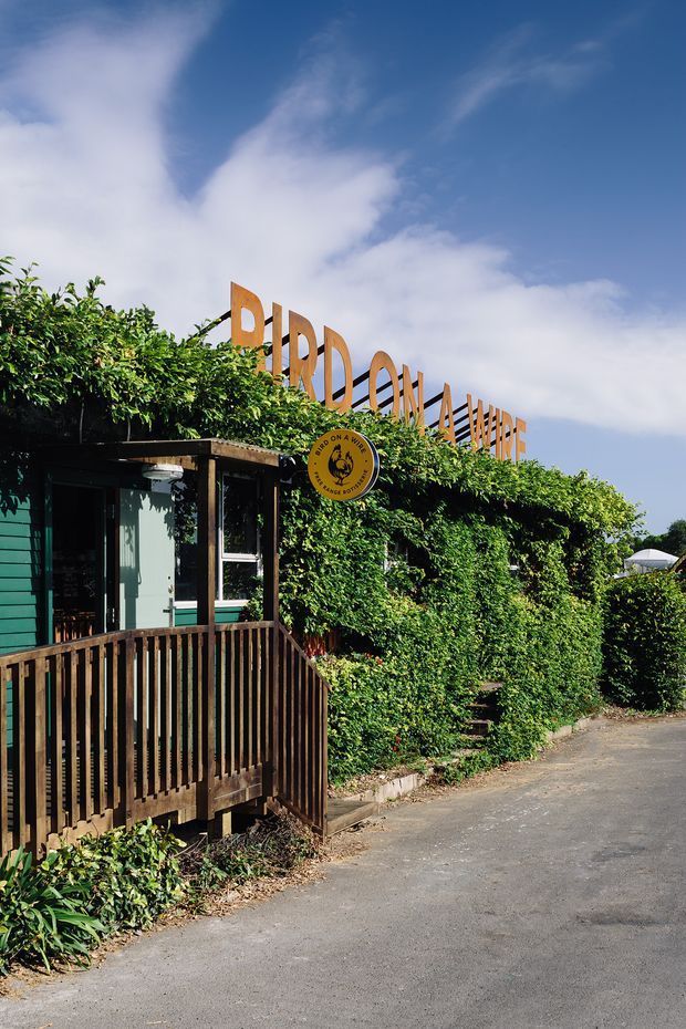 Exterior view of a low-rise commercial venue with teal-green cladding, a timber deck and railing, dense climbing greenery, and large freestanding signage reading “Bird on a Wire.” The building sits beside a paved access area under a bright blue sky.