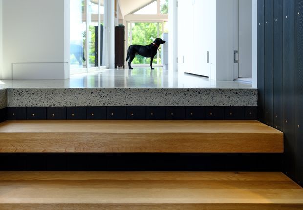 A bright contemporary interior focused on a broad timber stair or stepped platform. The steps feature warm timber treads, dark built-in cabinetry or riser panels with small brass-toned pulls, and a speckled light stone or terrazzo-like horizontal surface above. White walls, extensive glazing, and a black dog visible in the background create a light-filled transition space.