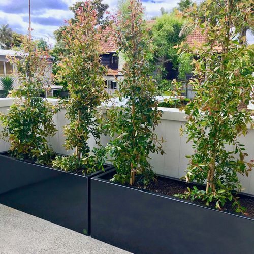 Black Powdercoated Trough 1200 Planter