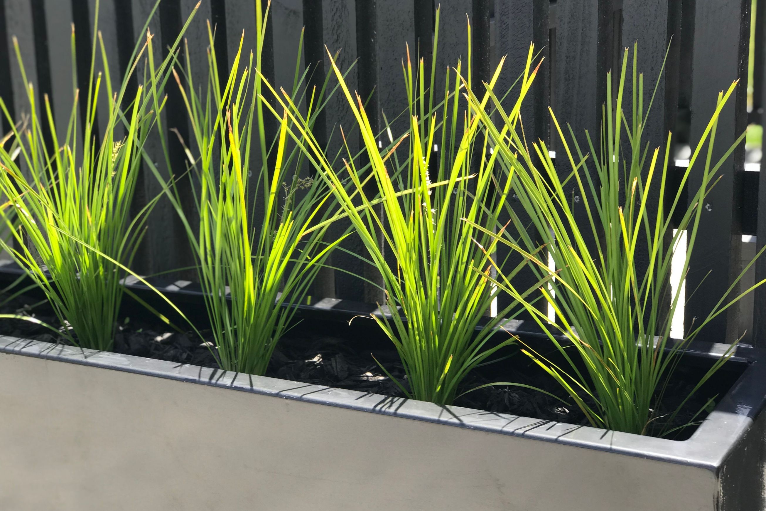 Black Tall Trough 1200 Planter