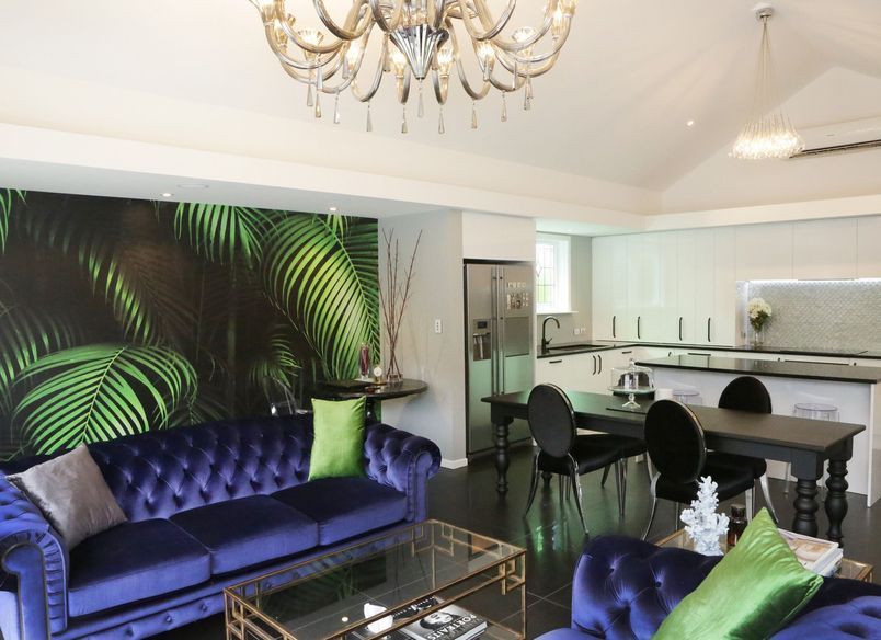 Black & White Beauty