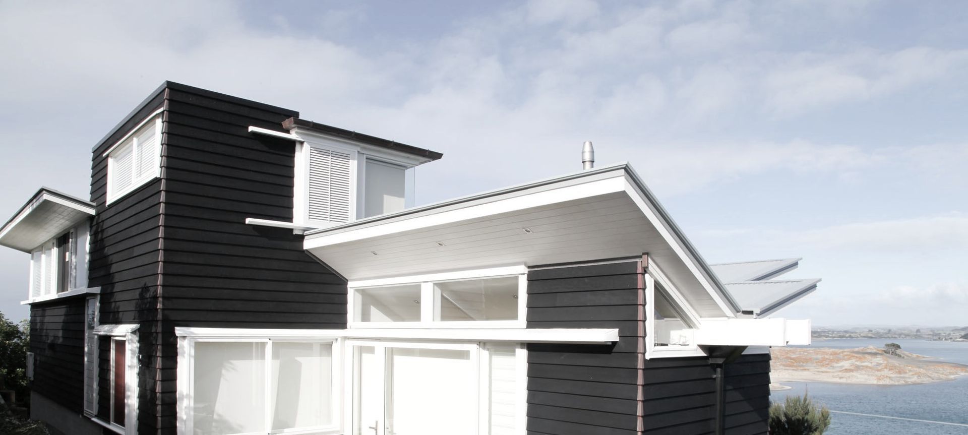 Black & White Home banner