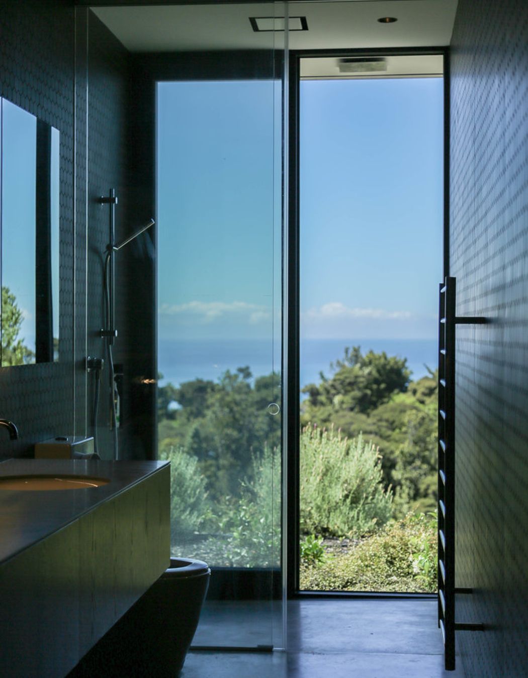 The bathroom on the lower level has a view of bush and sea.