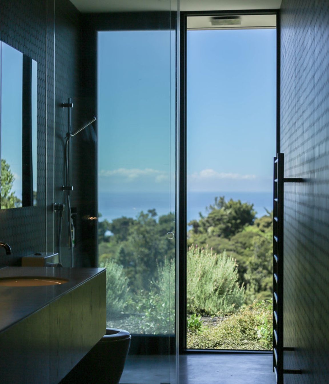 The bathroom on the lower level has a view of bush and sea.