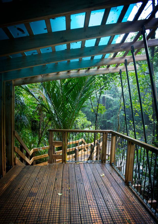 A covered elevated timber deck or walkway surrounded by dense tropical forest. The structure features exposed timber beams and rafters, translucent blue-green roof panels, black metal balustrades, timber handrails, and a gridded metal deck surface. Additional timber stairs and platforms descend through the vegetation, creating a rainforest canopy-style outdoor circulation space.