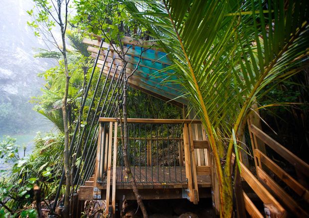A timber elevated walkway and deck structure nestled among dense tropical vegetation, with wooden railings, stairs, slender tree trunks, and a translucent turquoise-toned roof or canopy. The lush planting and steep, misty natural setting create a secluded treehouse-like atmosphere.