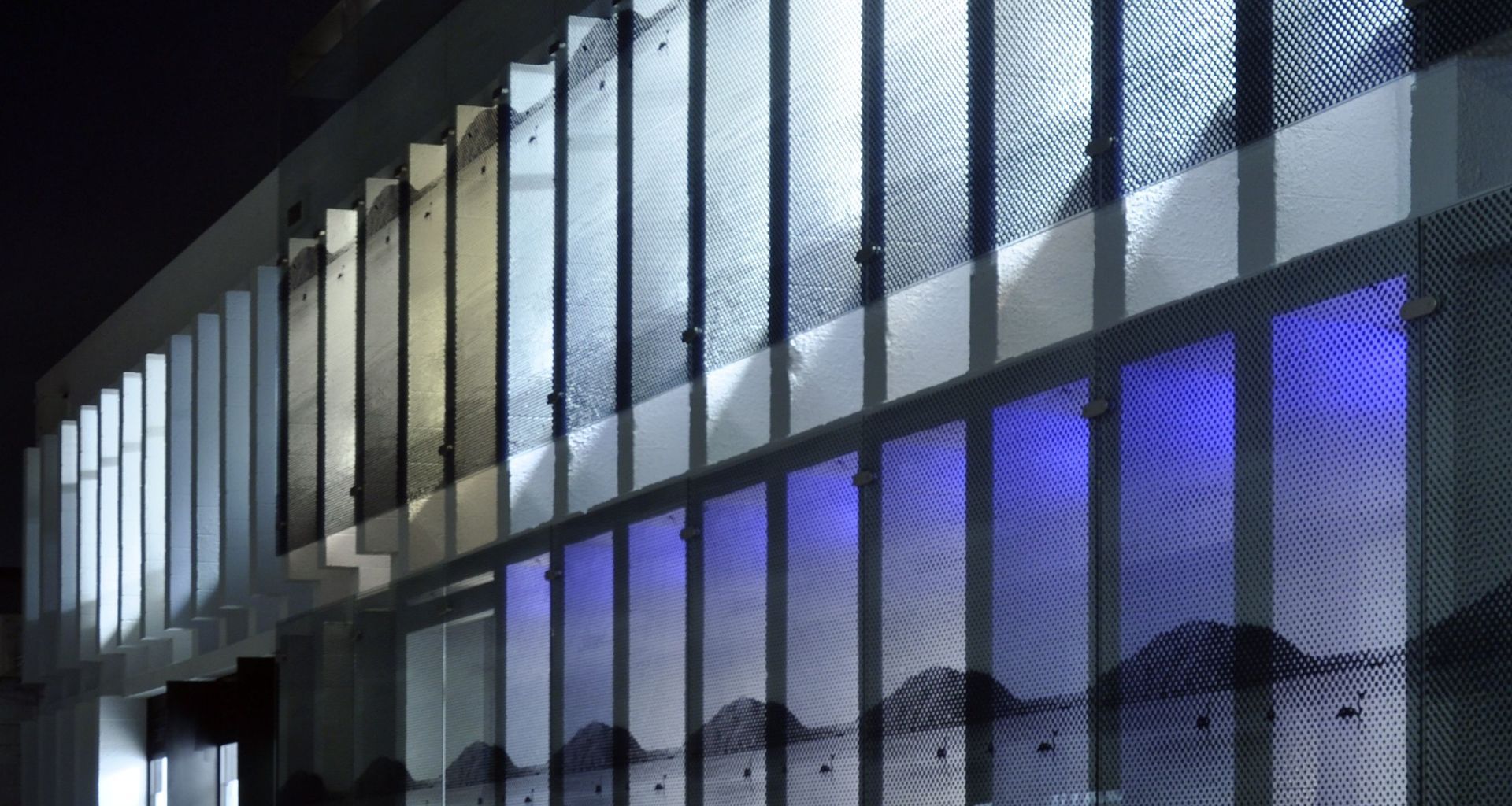 Bright Wild Thomas banner