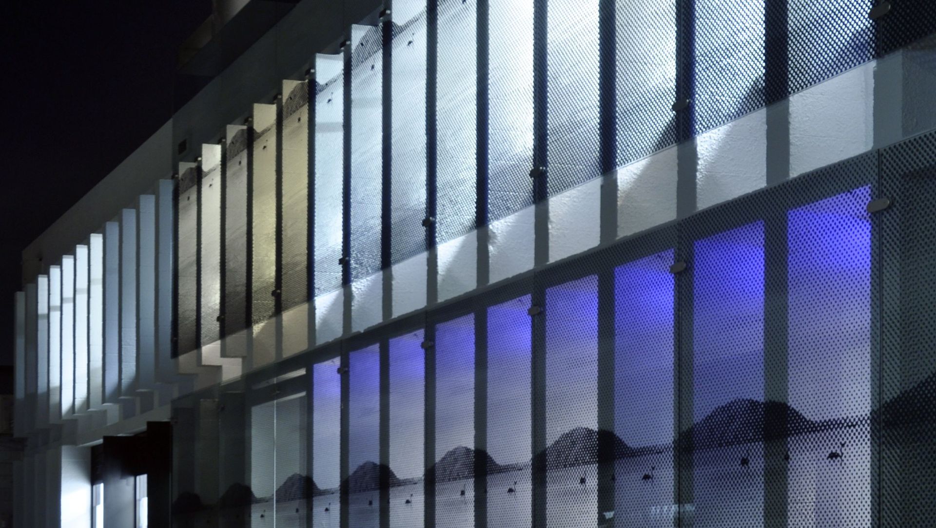 Bright Wild Thomas banner