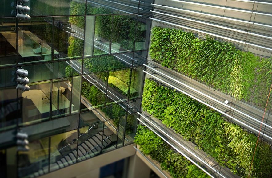 Britomart Green Wall