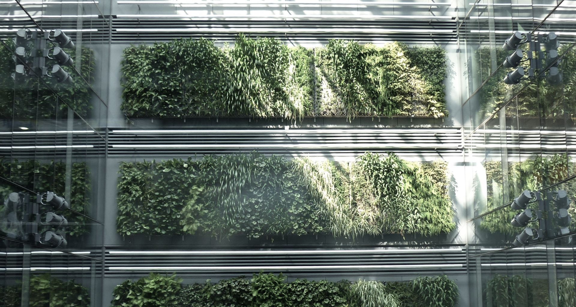Britomart Green Wall banner