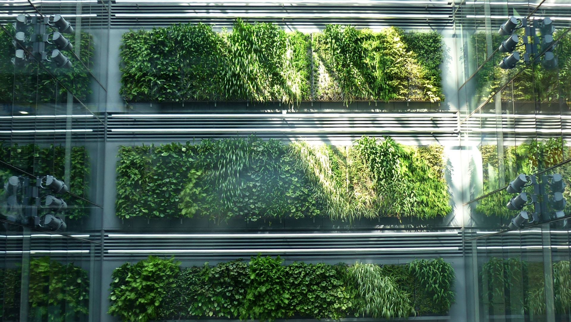 Britomart Green Wall banner