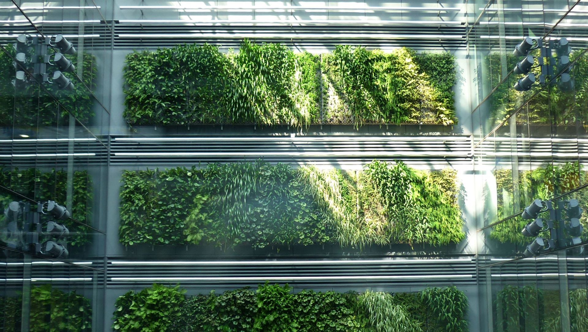 Britomart Green Wall banner