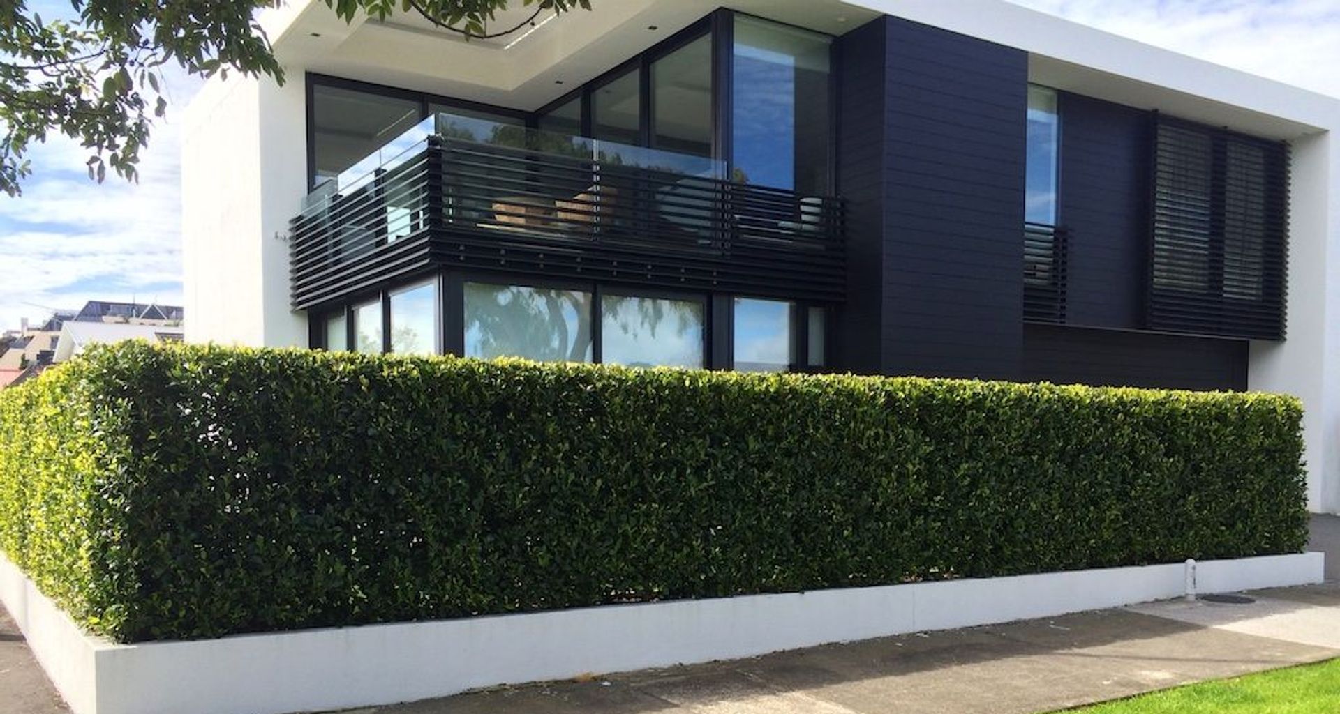 A hedge from our Living Screen Range of instant hedges