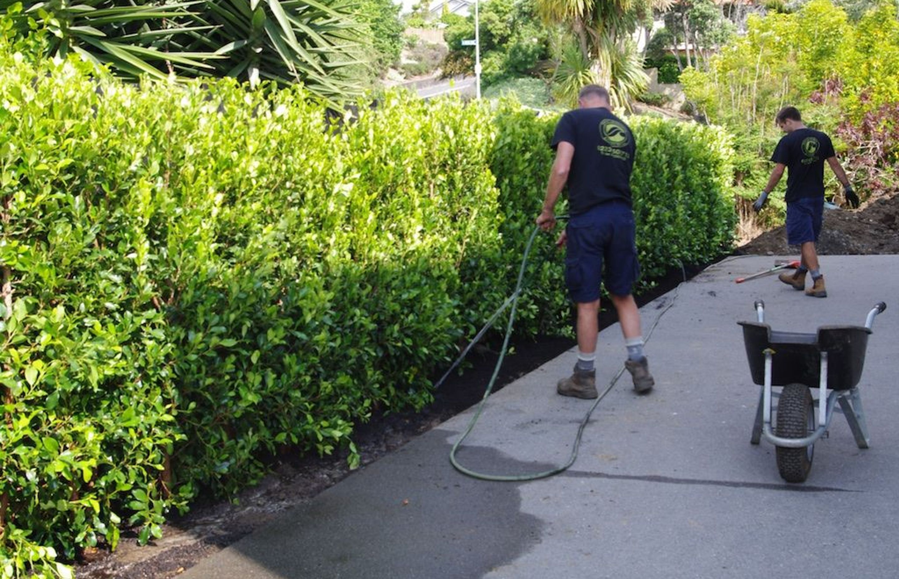 Installation complete. Time to water the hedge.