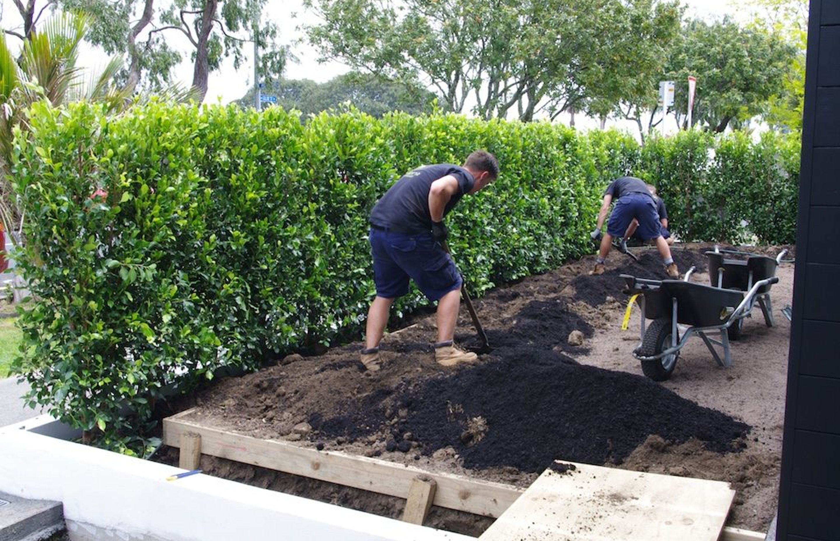 Backfilling once the hedges are in place