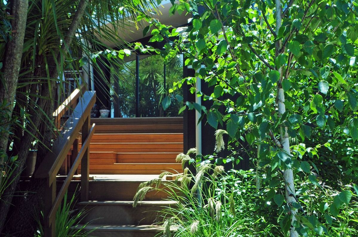 Bush Garden Waitakere