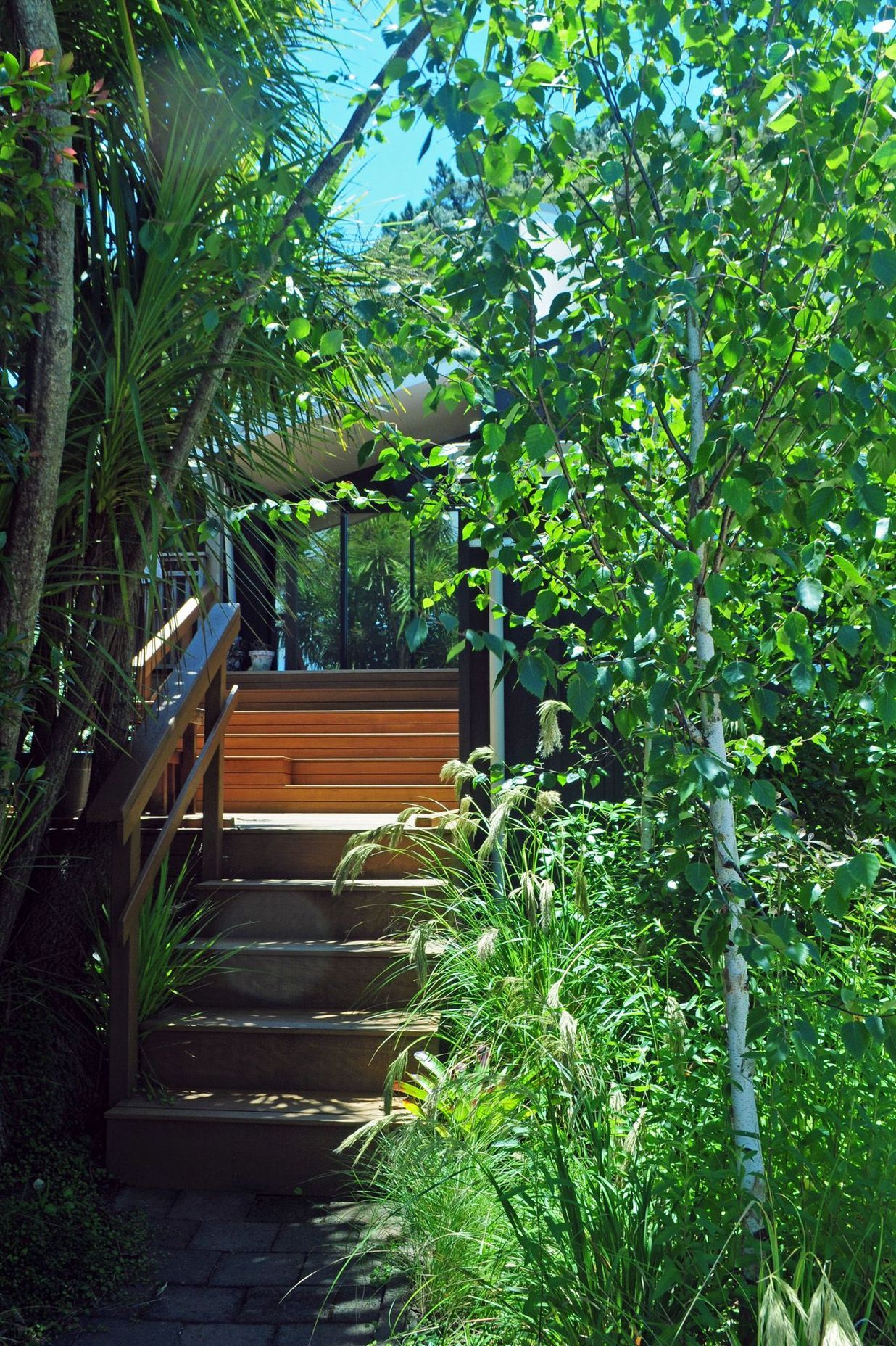 Approach to the house through a glade-like space