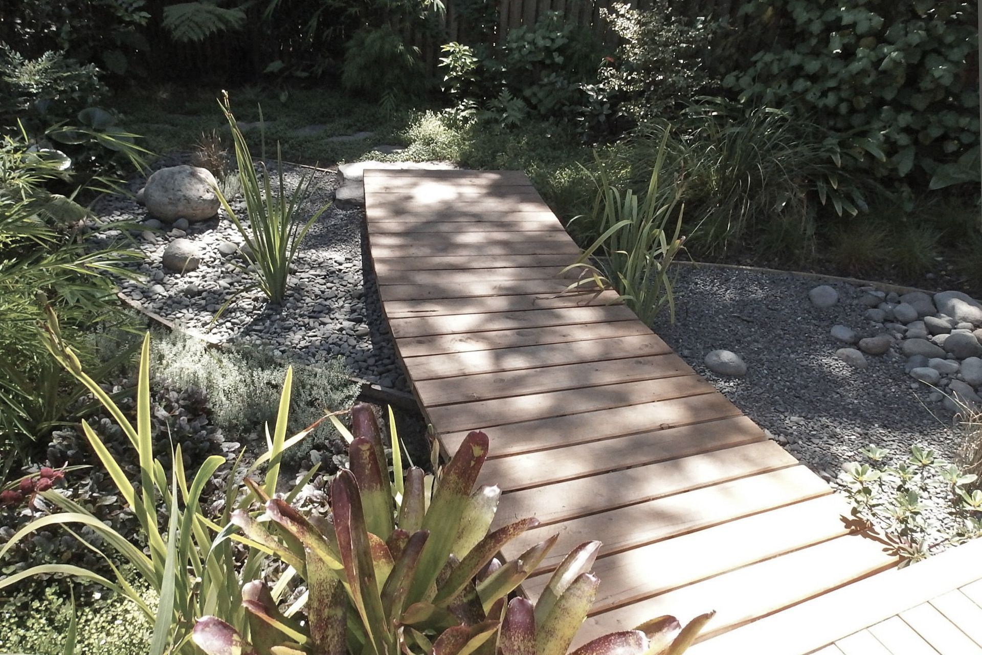 A boardwalk over the rain garden attended by lush planting