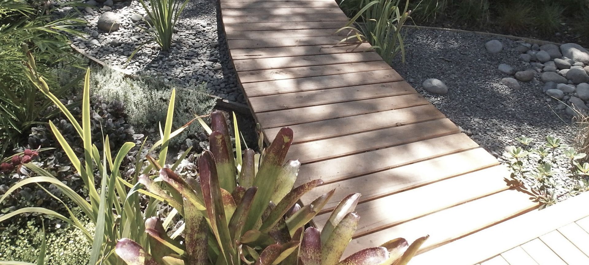 Bush Garden Waitakere banner