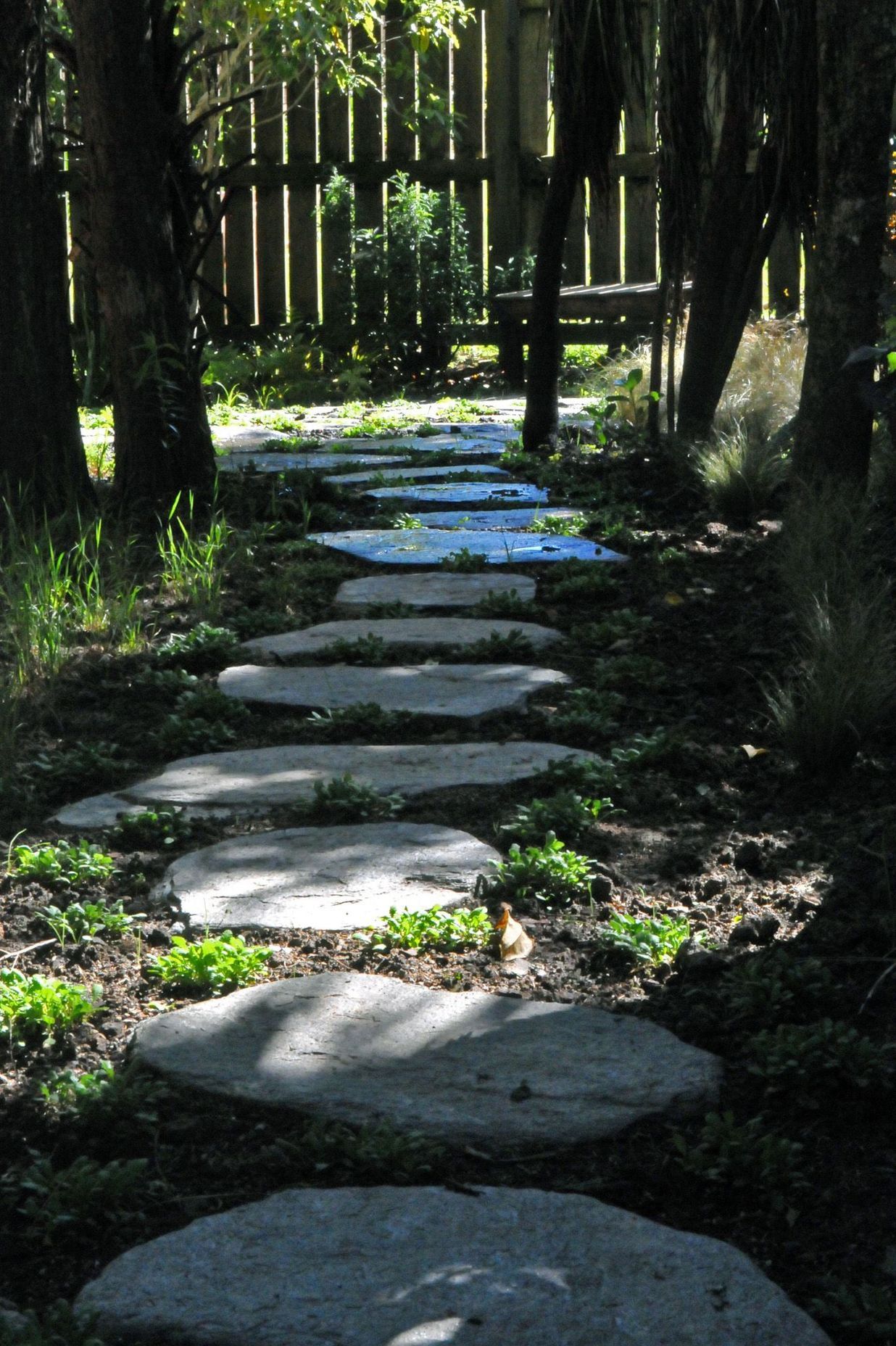 Natural stone stepping stones lead through the kanuka glade which features all native planting of grasses, ferns and understorey shrubs