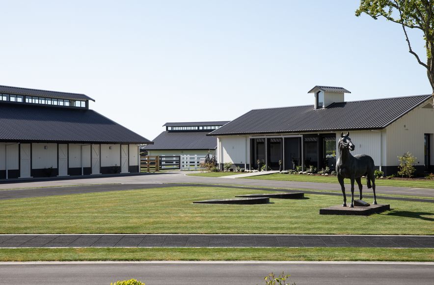 Cambridge Stud