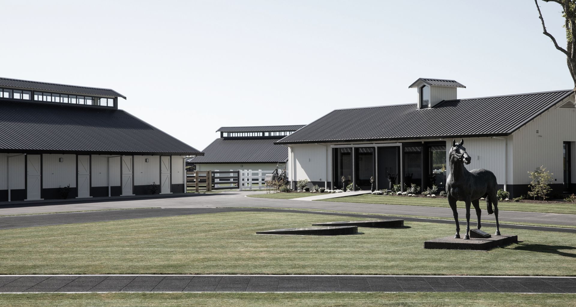 Cambridge Stud banner