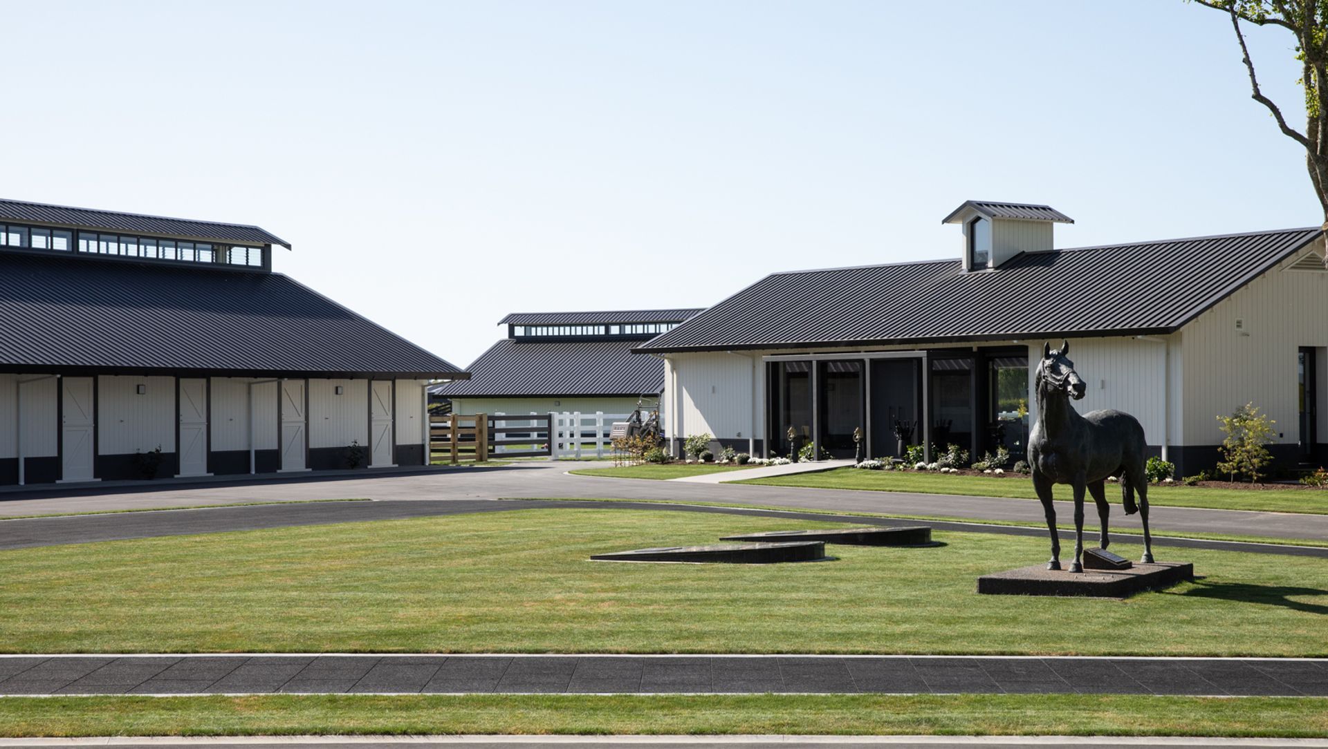 Cambridge Stud banner