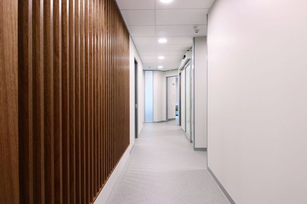 A bright, modern institutional or commercial corridor with a long warm timber slat feature wall on the left, white walls, glazed office or room fronts along the right, recessed ceiling lights, and pale carpet flooring.