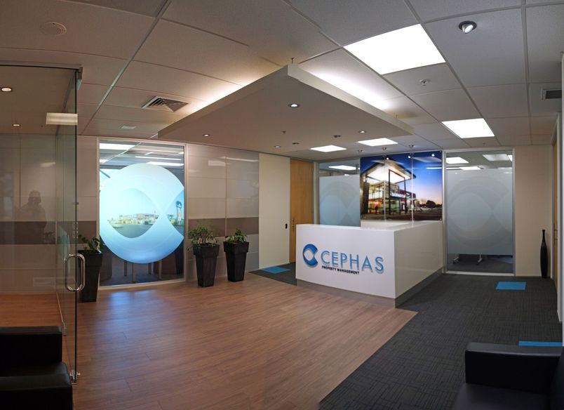 Cephas Offices, Nelson