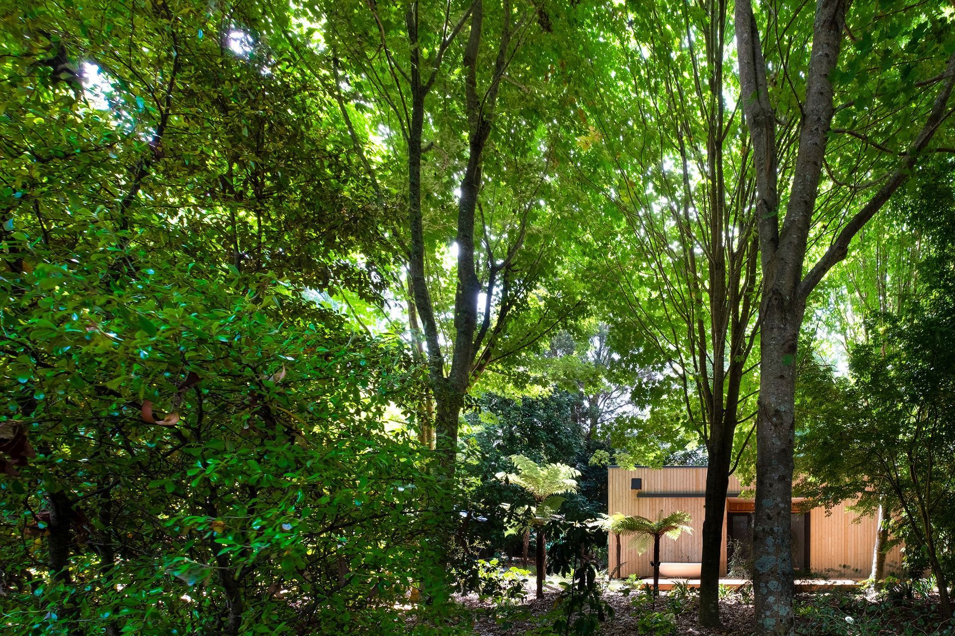The cabin has been sited on the land to enhance the sense of solitude and to maximise solar gain.