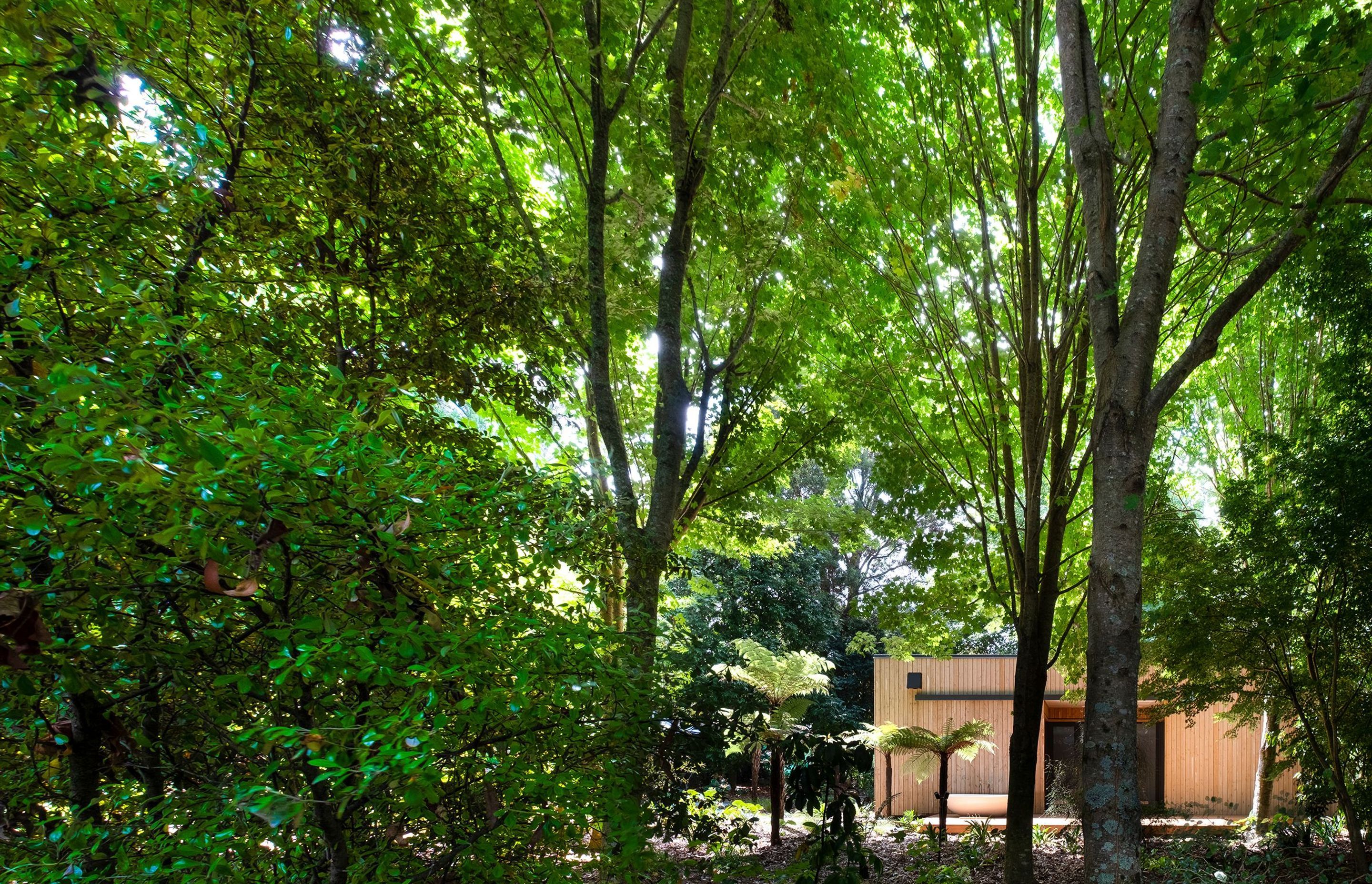 The cabin has been sited on the land to enhance the sense of solitude and to maximise solar gain.