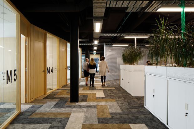 A contemporary commercial office interior with a central corridor, glazed timber-framed meeting rooms labelled M4 and M5, exposed black services and ceiling structure, linear fluorescent lighting, patterned modular carpet tiles, and white perforated storage planters containing tall greenery. Several people are walking through the space.